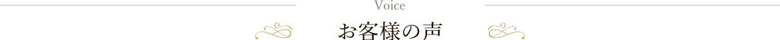 voice